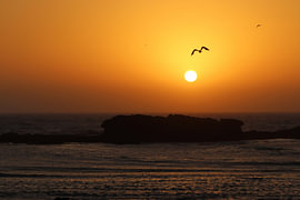 Coucher de soleil à Essaouira, au Maroc sur Sabine van der Leest