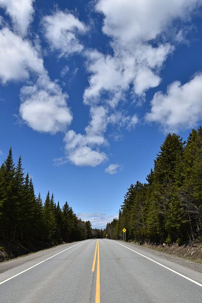 A country road in summer by Claude Laprise