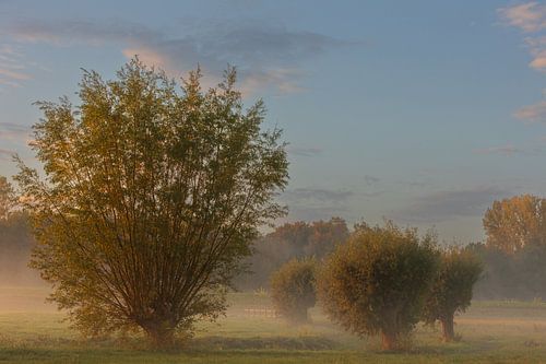Matin brumeux Opwierde Appingedam 4 sur Johan van der Linde