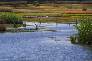 Les prairies humides sur Yvonne Le Loux