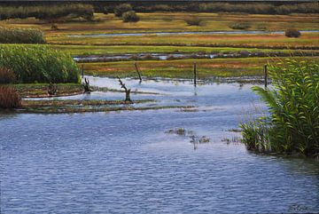 Les prairies humides sur Yvonne Le Loux