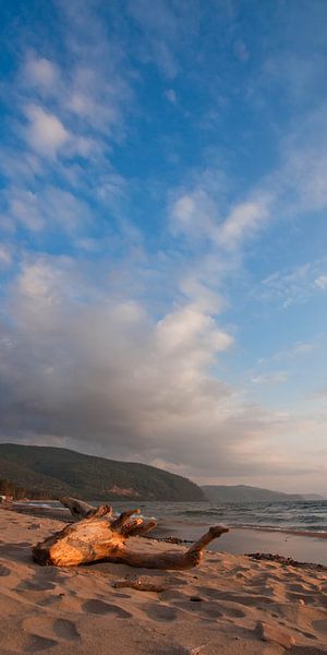 Vertical landscape with blue skies and golden sand on the distant Siberian lake Baikal by Michael Semenov