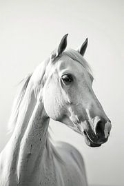 White Arab by ByNoukk