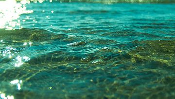 Wasser an der Nordsee von Susanne Begert