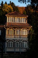 Het gouden huis