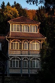 Das goldene Haus von Amber de Jongh