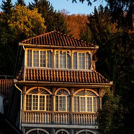 Das goldene Haus von Amber de Jongh
