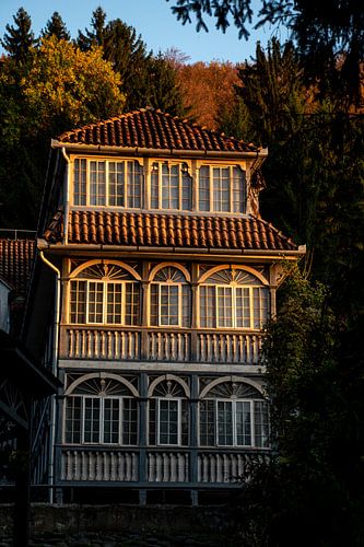 Het gouden huis van Amber de Jongh