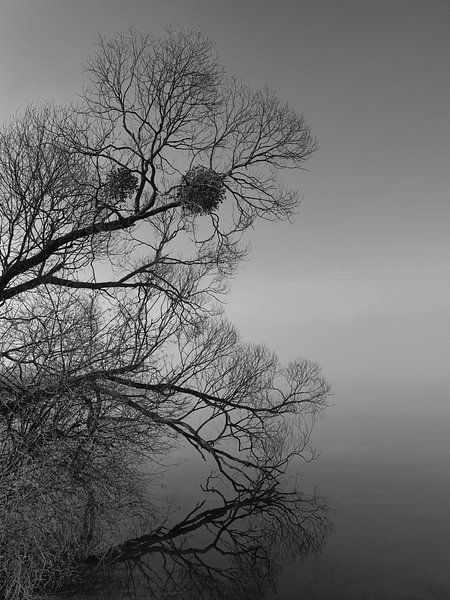 Nebel by Ralf Wagner