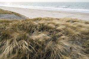 Dutch dunes sur Dirk van Egmond