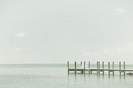 FLORIDA Quiet Place | Vintage by Melanie Viola thumbnail