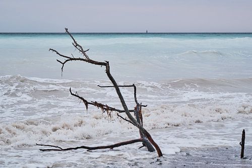 Site du patrimoine mondial de Møns Klint 6 sur Geertjan Plooijer