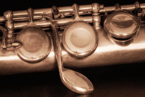 Detailfoto van een dwarsfluit.