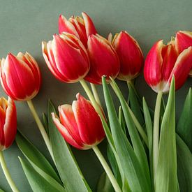 Rode tulpen sur Ester Dammers