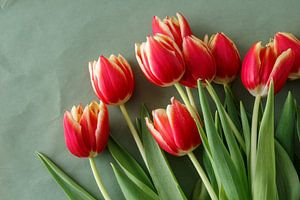 Rode tulpen sur Ester Dammers