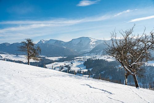 Winteruitzicht op Säntis en de Hochgrat op de Nagelfluh-keten