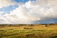 Noordhollands Duinreservaat, paysage de dunes près de Bakkum