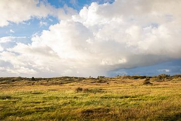 Noordhollands Duinreservaat, duinlandchap bij Bakkum van J.P. Zwart