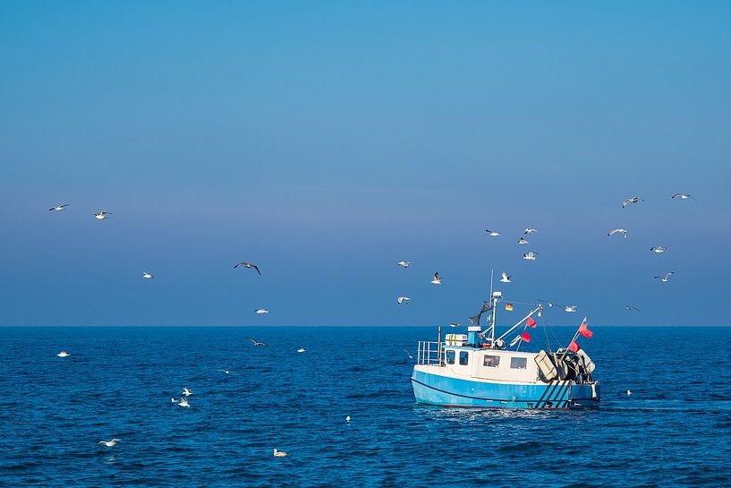 Fischerboot mit Möwen auf der Ostsee vor Warnemünde von Rico Ködder