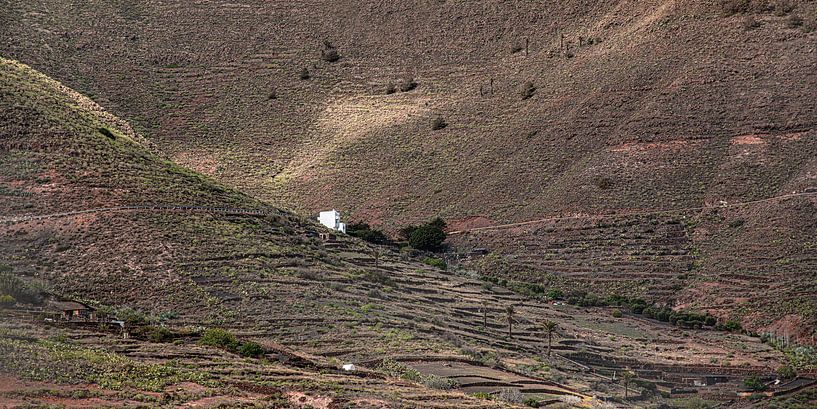La vallée de Tabayesco sur l'île de Lanzarote (Canaries) par Harrie Muis