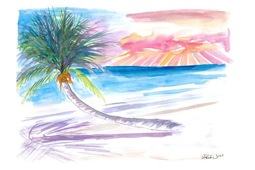 Un palmier penché pour se détendre à Tortola (îles Vierges britanniques)