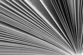 Bladeren gespiegeld von Stephan Van Reisen