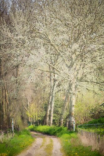 Waldweg mit grauen Kieselsteinen (Gemälde)