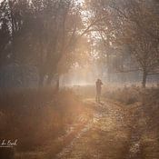 Ger vd Broek natuurfotografie Profile picture