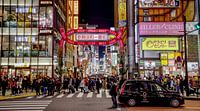 Neon Winter - Kabukichō in the Light