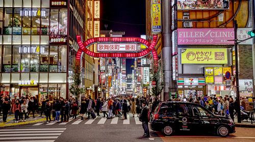 Neon Winter - Kabukichō im Licht