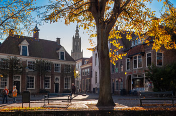 Gouden Herfst aan de Havik, Amersfoort