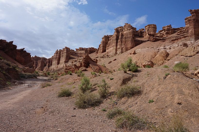 Charyn Canyon in Kazachstan van Lindy van Oirschot