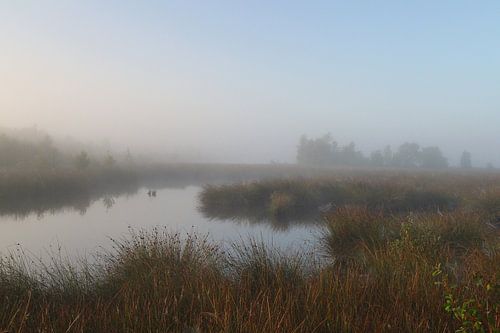 Engbertsdijksvenen 8