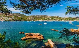 View of boats yachts in the bay of Port de Andratx by Alex Winter