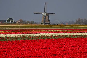 Molen O-T met kleurenpallet von peterheinspictures