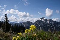 Een venster naar de Alpen