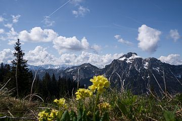 Een venster naar de Alpen