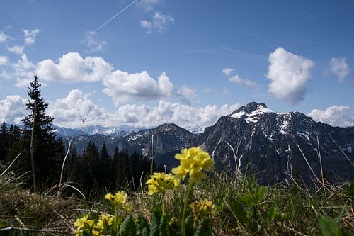 Ein Fenster zu den Alpen