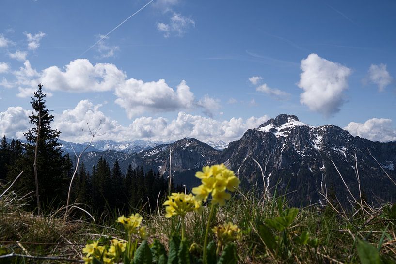 A window to the Alps by Niels Steinmetz