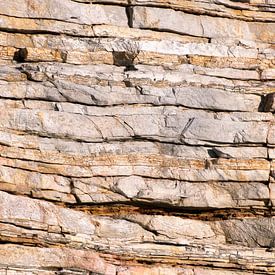 Entstehung der Erde #5 von Margot van den Berg