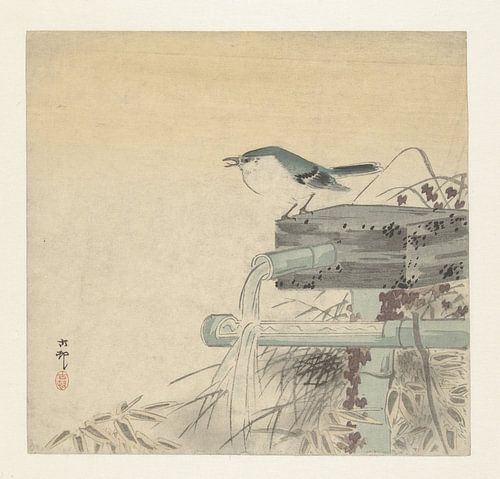 Blauwe nachtegaal, Ohara Koson