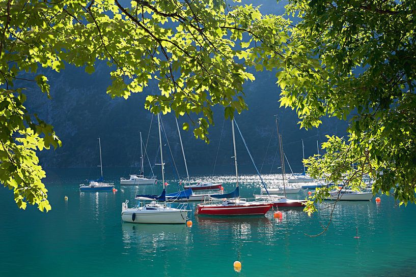 Achensee mit Segelbooten. Blick durch grüne Zweige von SusaZoom