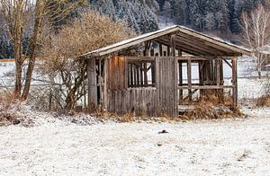 Une cabane en bois abandonnée