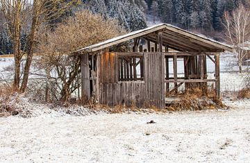 Une cabane en bois abandonnée sur Christa Kramer