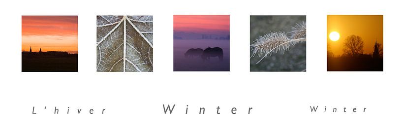 panorama winter von Karin Hendriks Fotografie