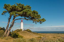 Lighthouse Dornbusch | Hiddensee by Panorama-Rundblick