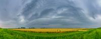 Zomerse onweersbui boven graanvelden in Flevoland. van Sjoerd van der Wal Fotografie thumbnail