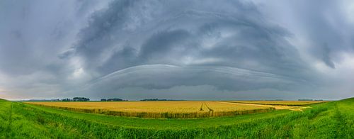 Zomerse onweersbui boven graanvelden in Flevoland.