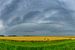 Sommergewitter über Getreidefeldern in Flevoland von Sjoerd van der Wal