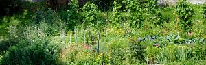 jardin de ferme